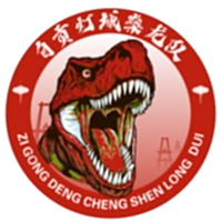 自贡队